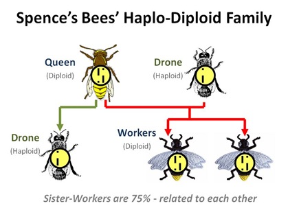 Watching the World Wake Up: I Go To A Party And Become A ... parthenogenesis diagram aphids 